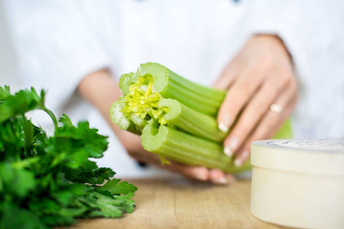 The Ultimate AZ Guide For Drying Celery