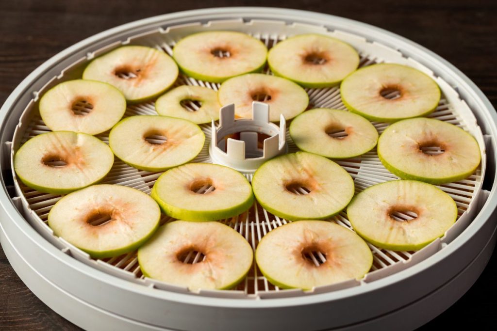 Sliced green apple in round food dehydrator