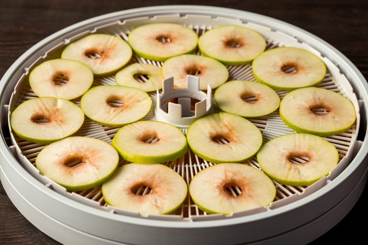 An Apple A Day How To Dehydrate Apples For Snacks & Recipes