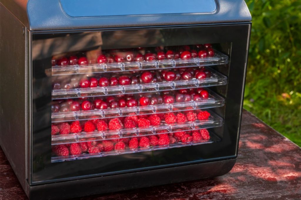 Food Dehydrator Vs. Oven Which Is Better?
