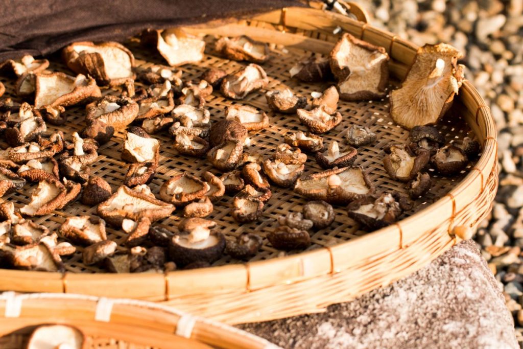 sun drying shiitake mushroom pieces on woven mat