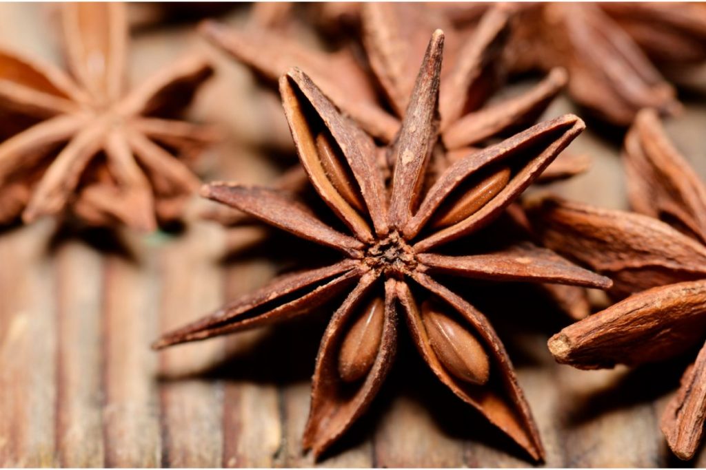 Dried star anise with seeds