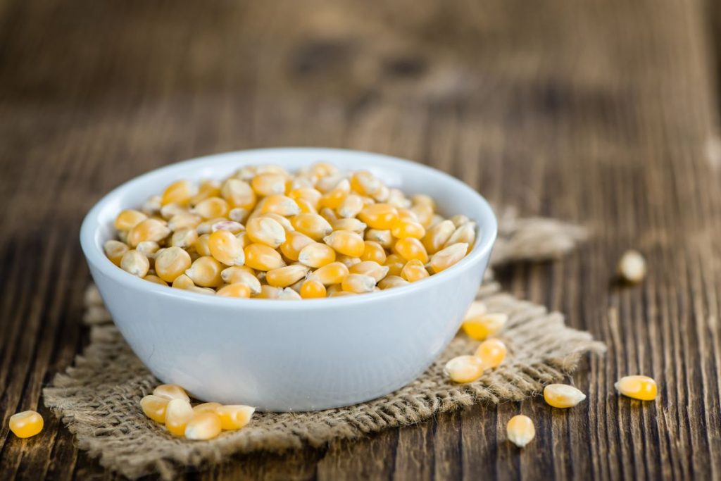 Bowl of dehydrated corn kernels