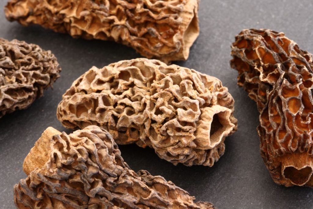 Whole dehydrated morel mushrooms