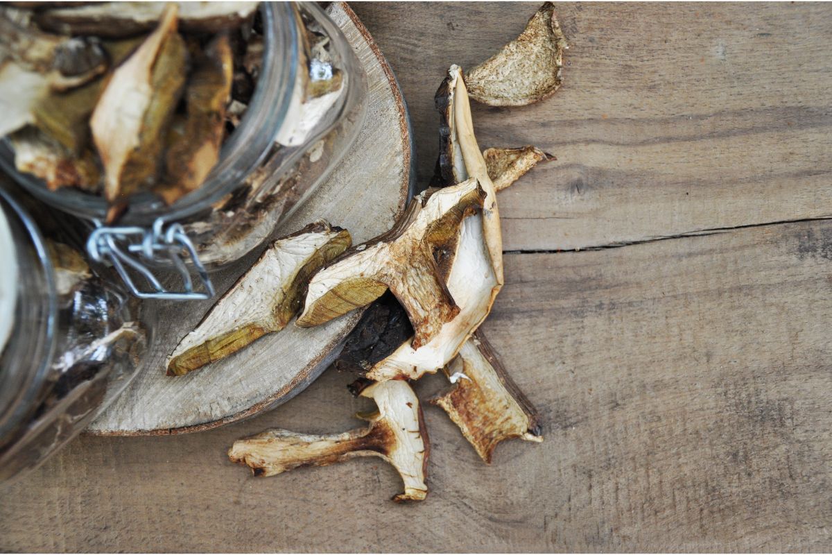 Guide To Eating And Cooking Dried Mushrooms