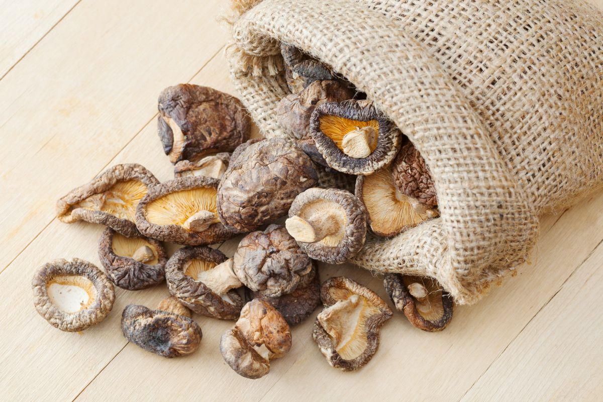bag on its side with dried shiitake mushrooms