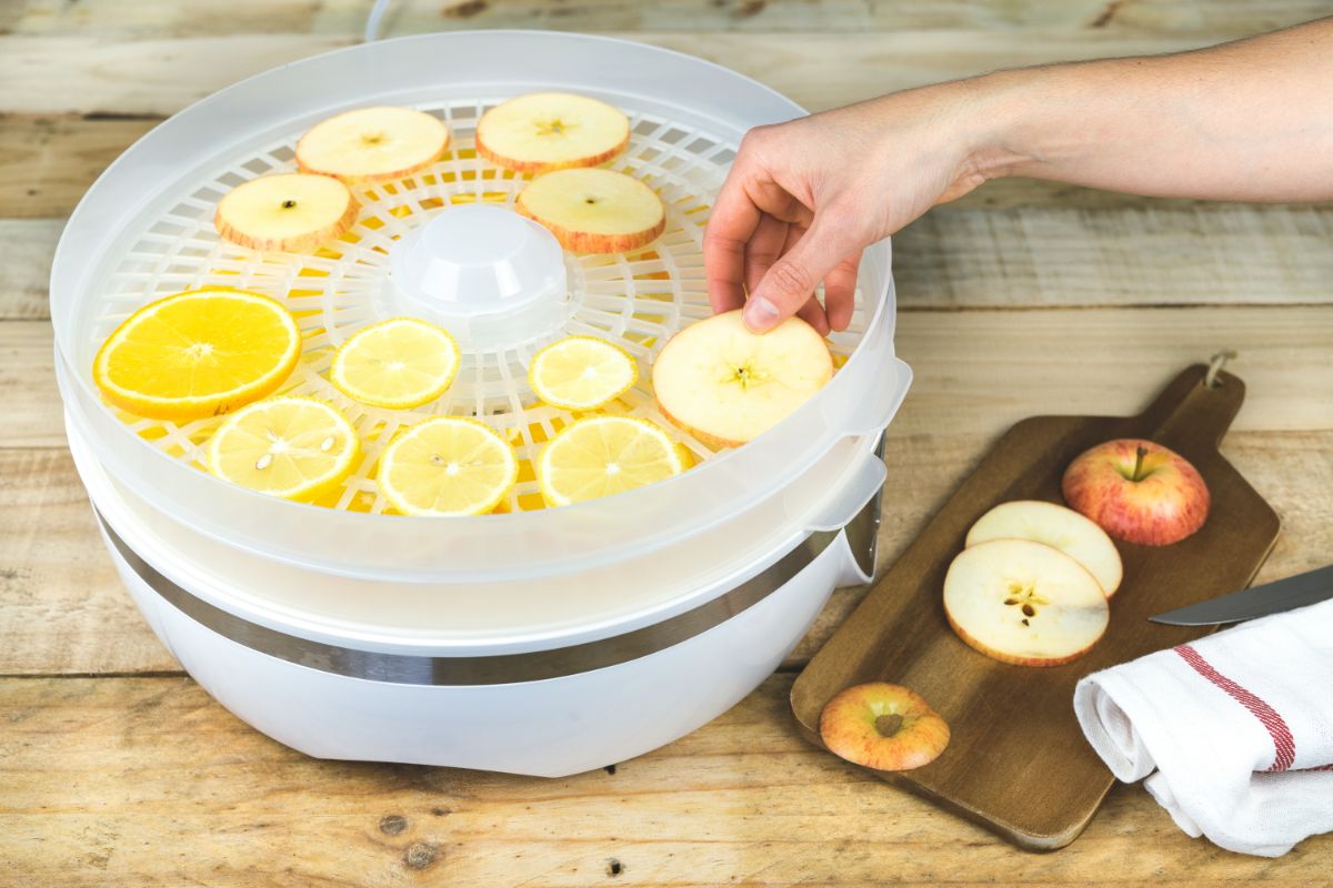 woman placing fruit slices in food dehydrator