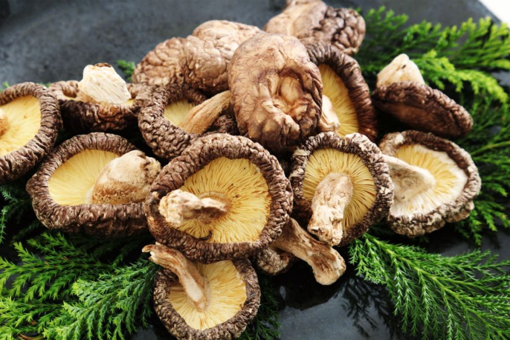 Fresh shiitake mushrooms on table