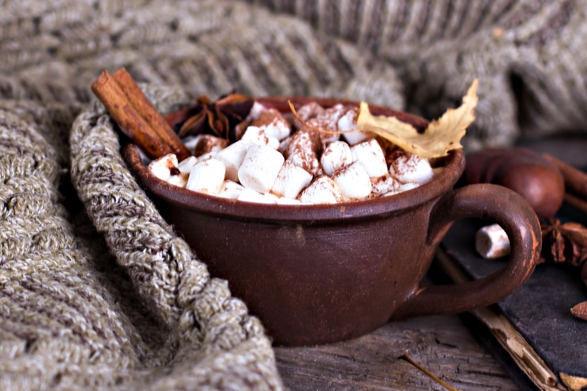 Cup of cocoa with dehydrated marshmallows