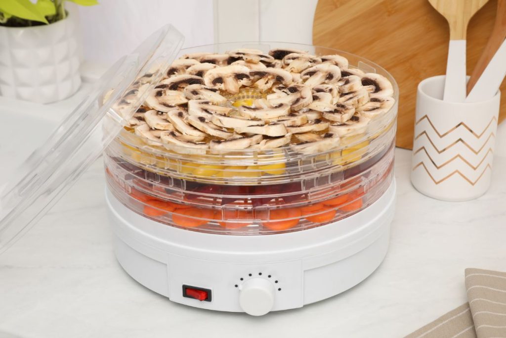 Important Safety Precautions To Take When Dehydrating Food