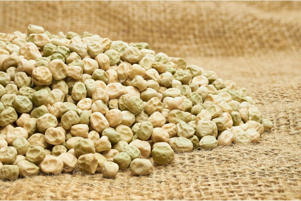 How To Make Dehydrated Peas And Pea Protein Powder