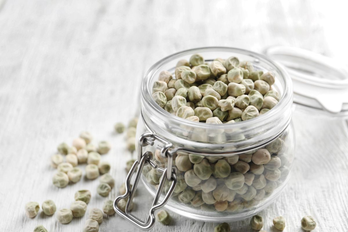 How To Make Dehydrated Peas And Pea Protein Powder