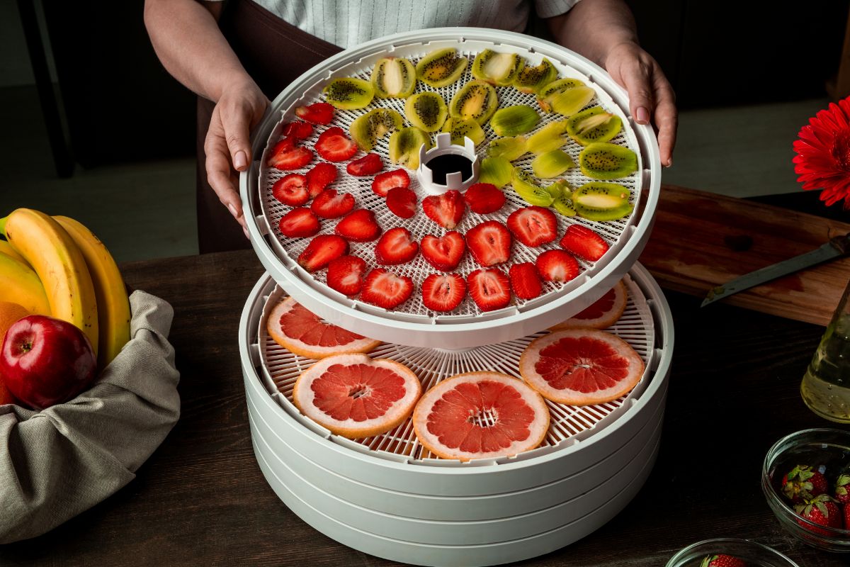 How To Use A Food Dehydrator And Pick One To Purchase
