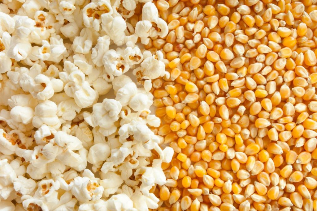 Popcorn kernels and popped corn