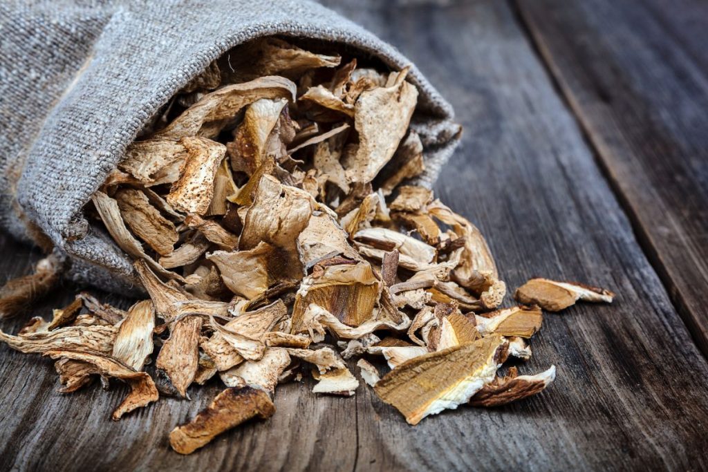 How To Make And Use Dried Porcini Mushrooms