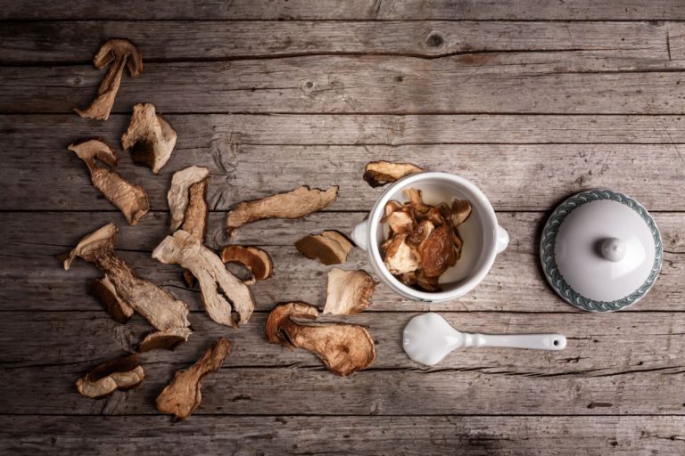 How To Make And Use Dried Porcini Mushrooms