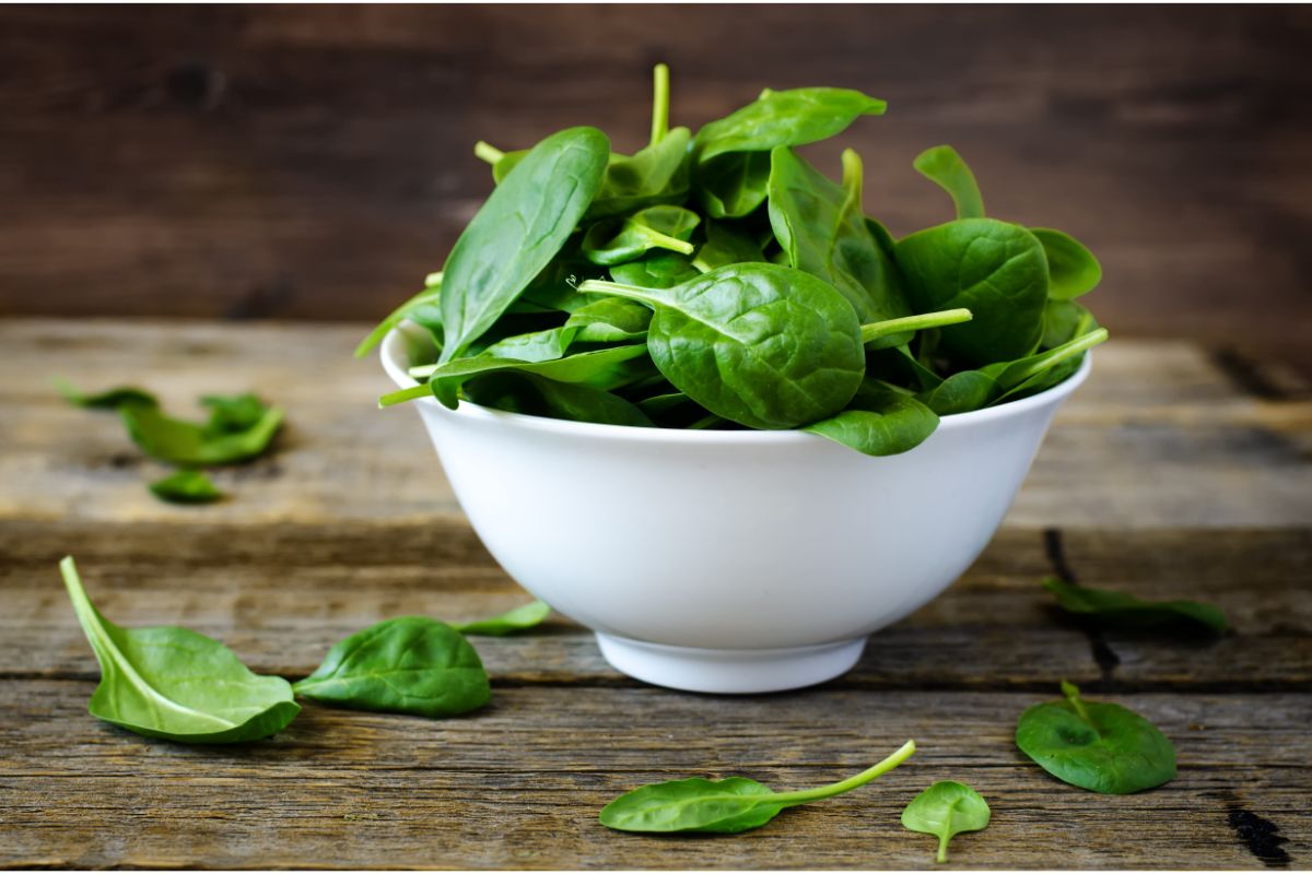 fresh spinach in a bowl
