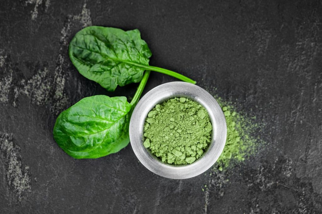 Bowl of spinach powder next to fresh spinach leaves