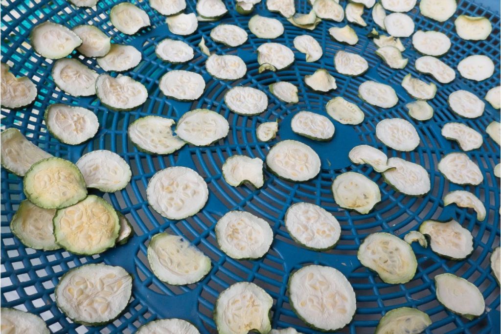 zucchini slices on food dehydrator tray