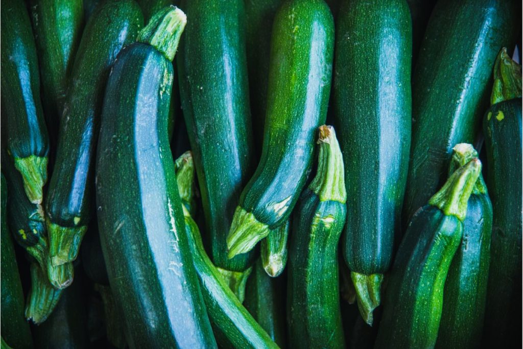 Several raw green zucchinis