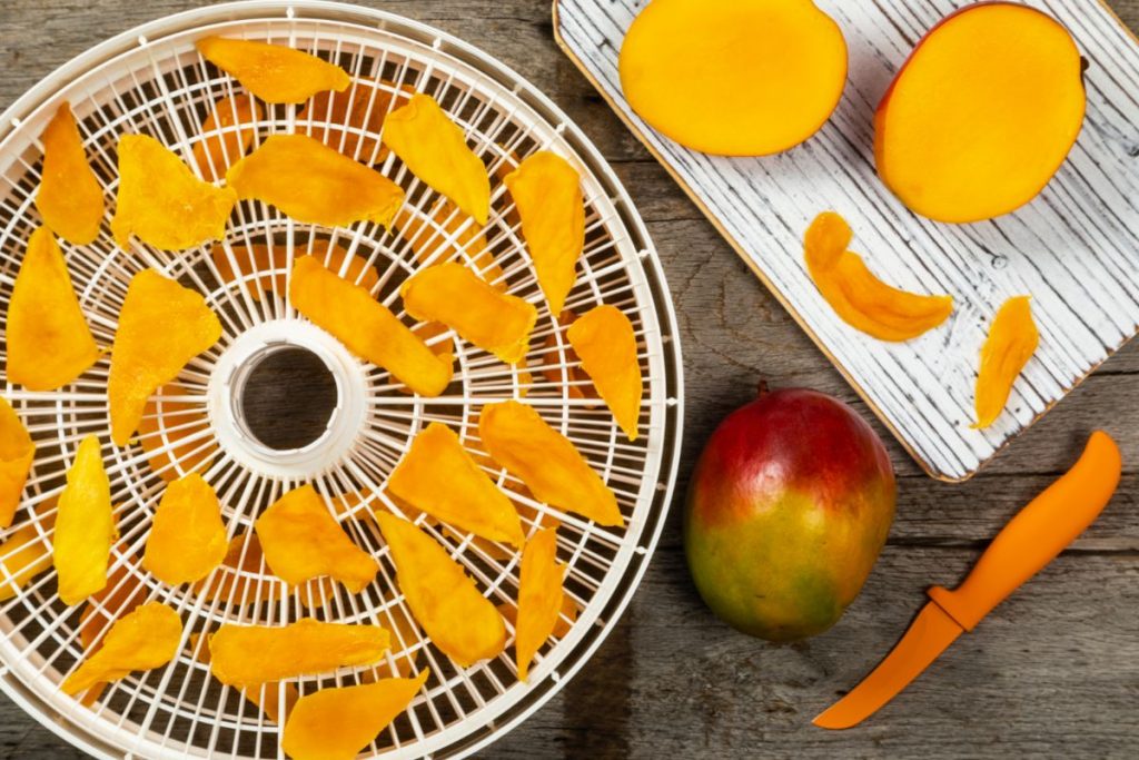 Slices of mango on food dehydrator trays