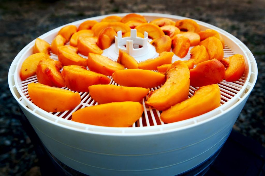 Peach pieces laid out inside a round food dehydrator