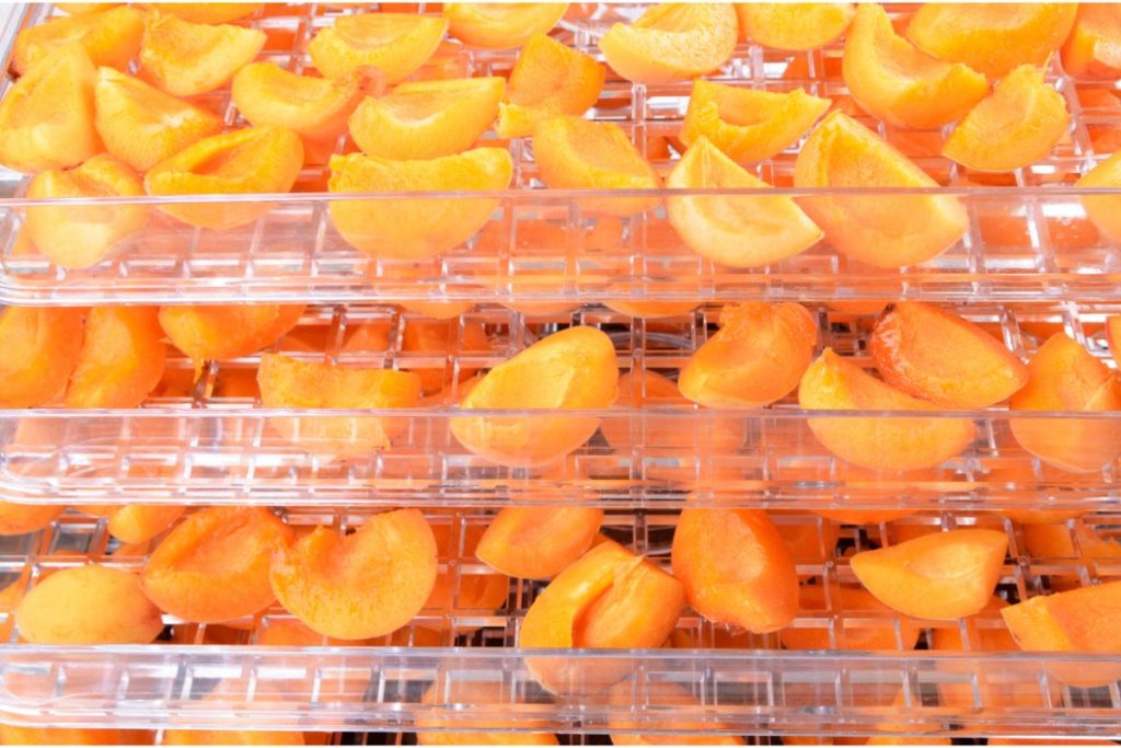 Quartered apricot pieces on food dehydrator trays