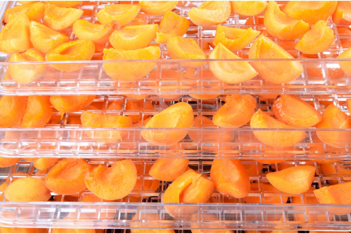 How To Dehydrate Apricots And Extend Their Shelf Life