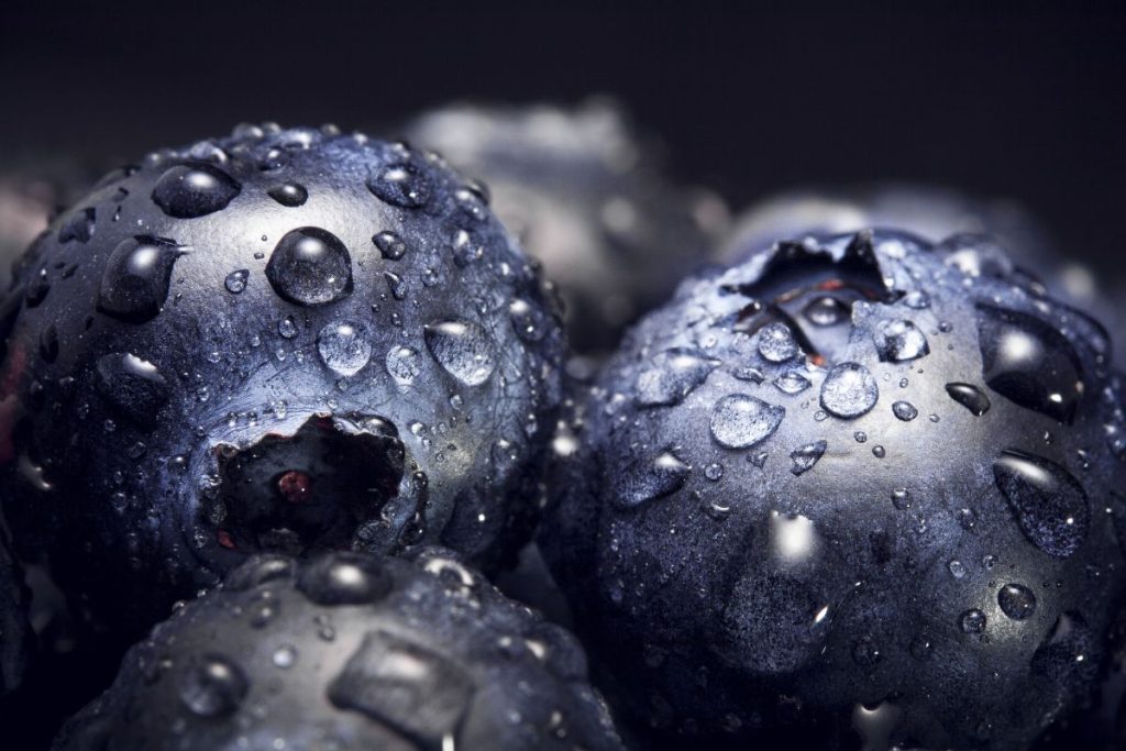 Blueberries up close showing thick skin and water droplets