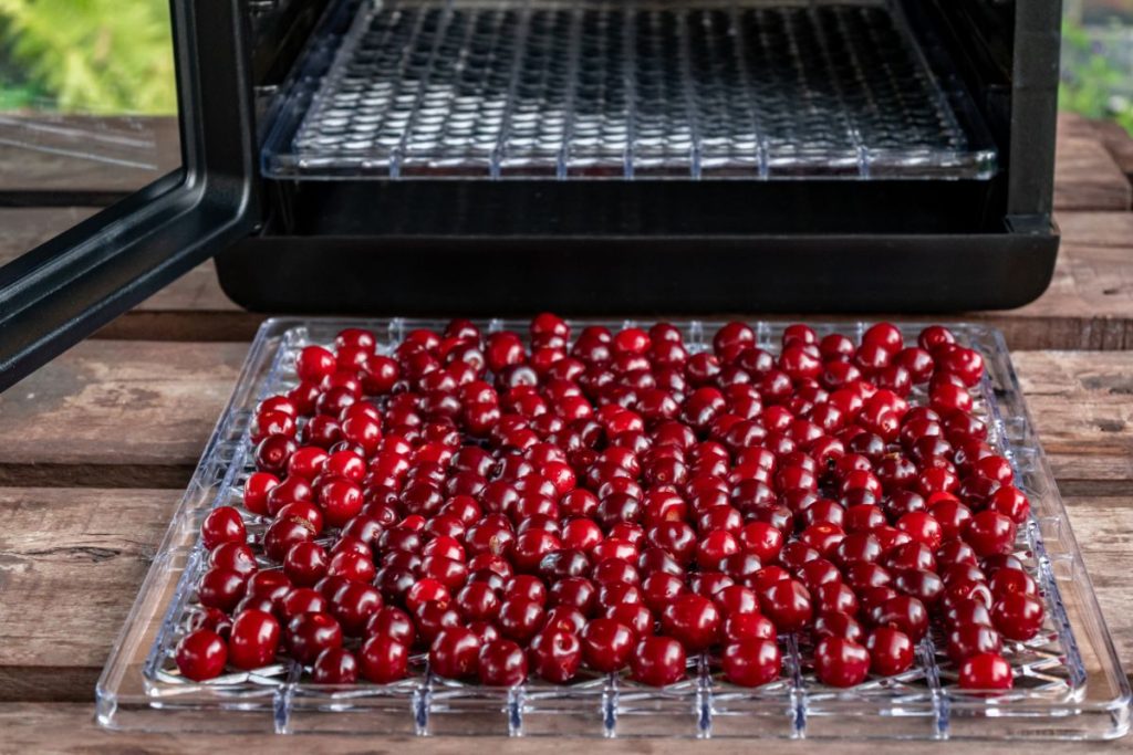 fresh cherries on a food dehydrator tray