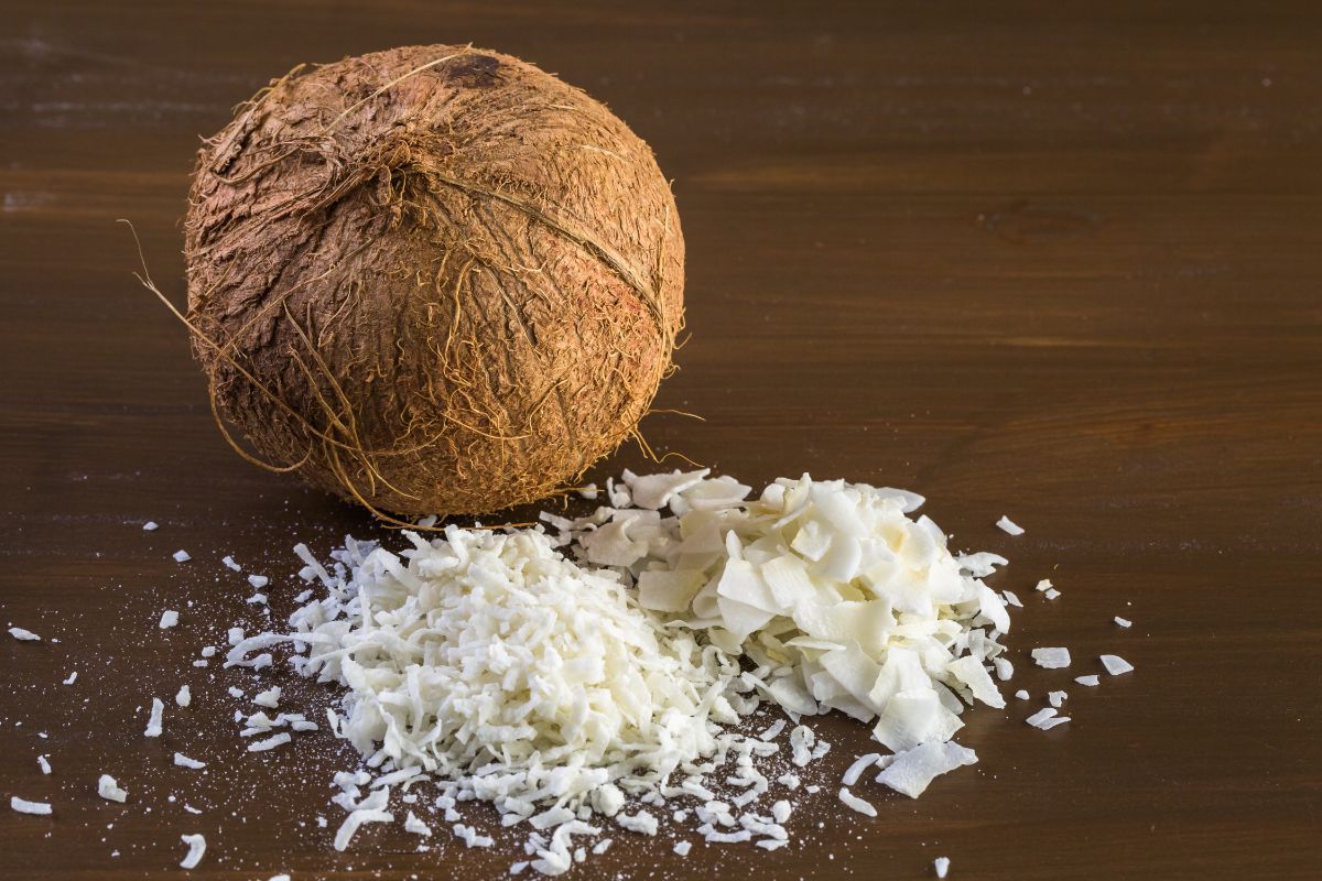 Fresh coconut next to dried coconut flakes