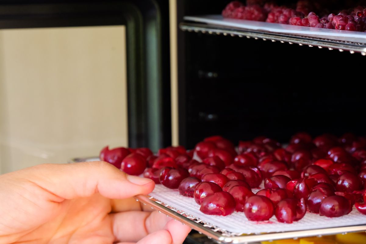 How To Make Perfect Oven Dried Cherries