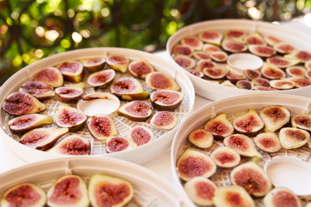sliced figs on food dehydrator trays