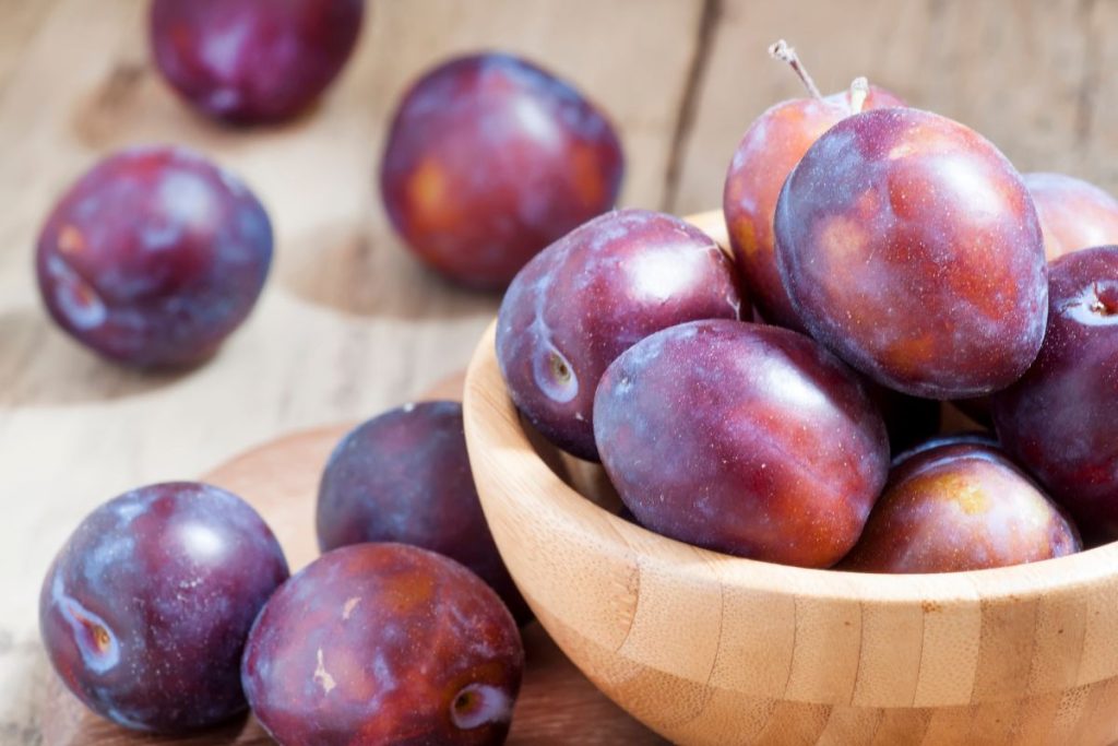 Bowl of fresh prune plums