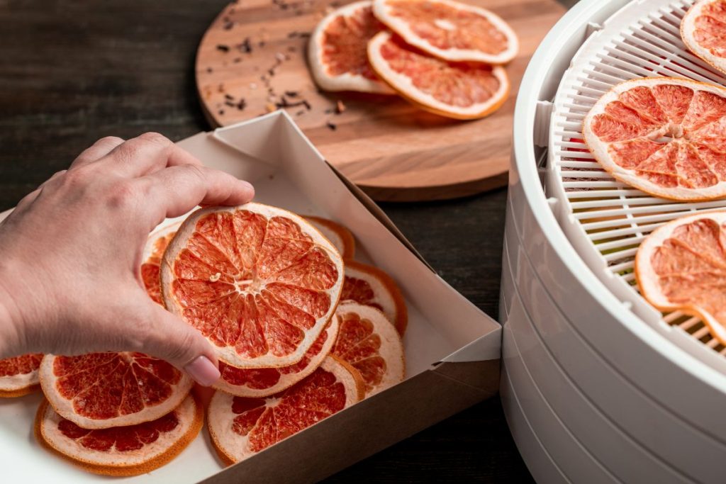 Dehydrated grapefruit slices removed from a food dehydrator