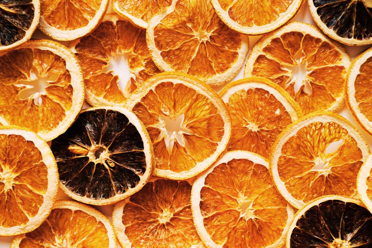 How To Dehydrate Oranges Slices And Sections