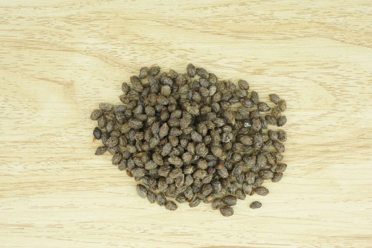 How To Make And Use Dried Papaya Seeds