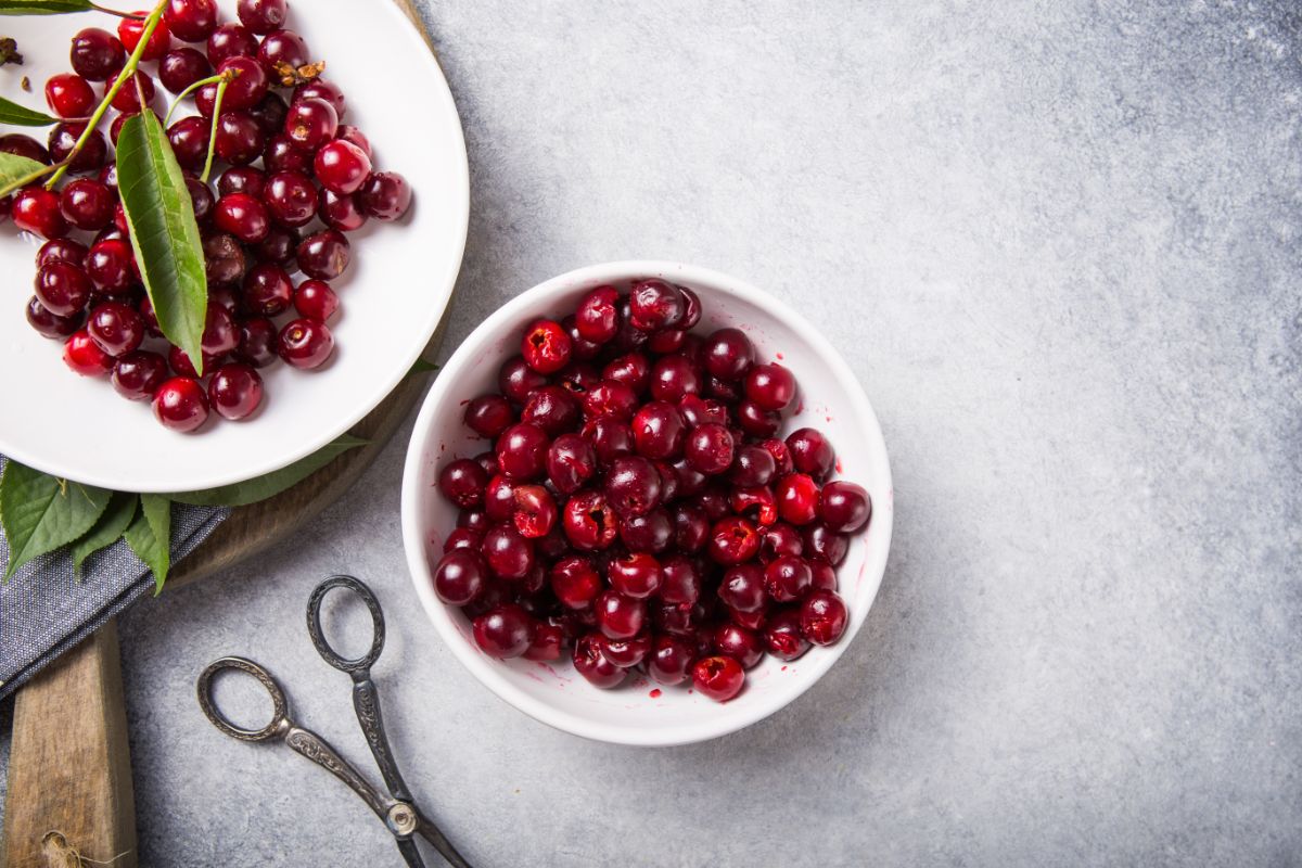 Drying Cherry Fruit Leather And Making Dried Cherries