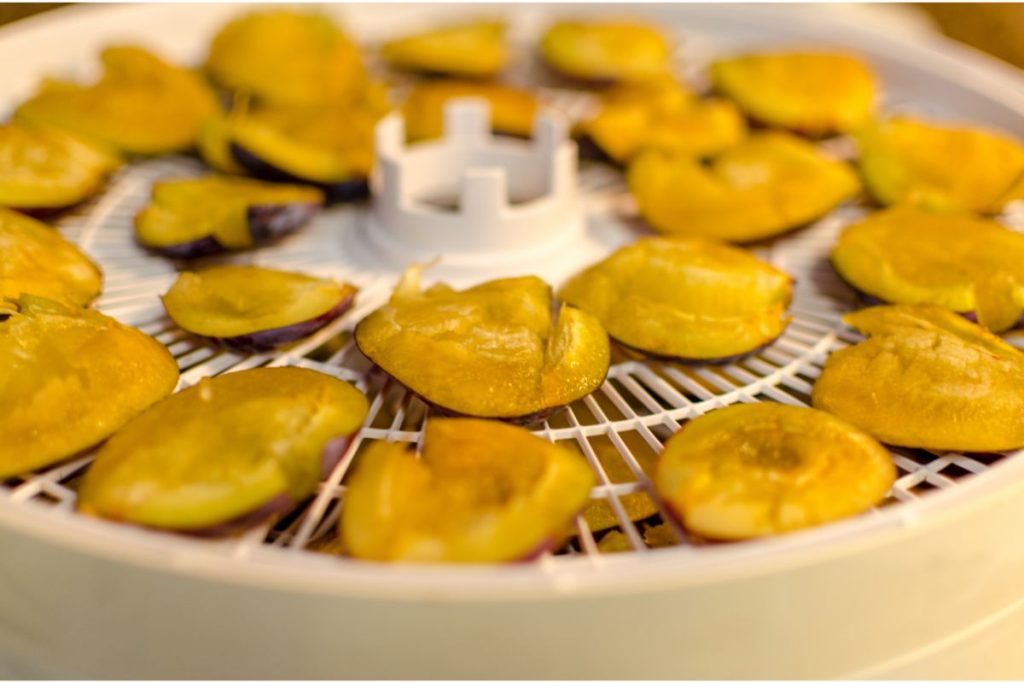 Plum slices in a food dehydrator