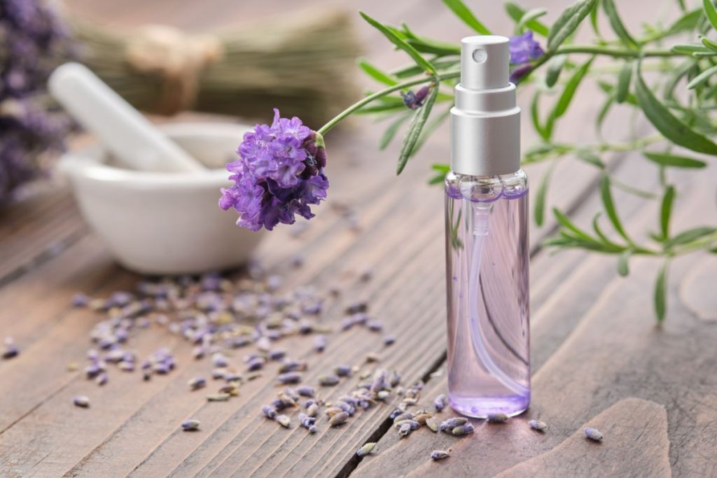 Small clear bottle with lavender spray sitting amidst lavender leaves