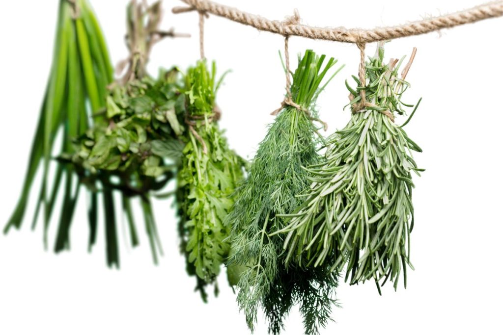 Bundles of different herbs hanging upside down