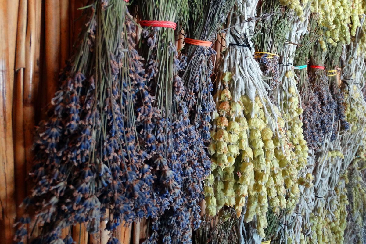 How To Dry Lemongrass Naturally And In A Food Dehydrator
