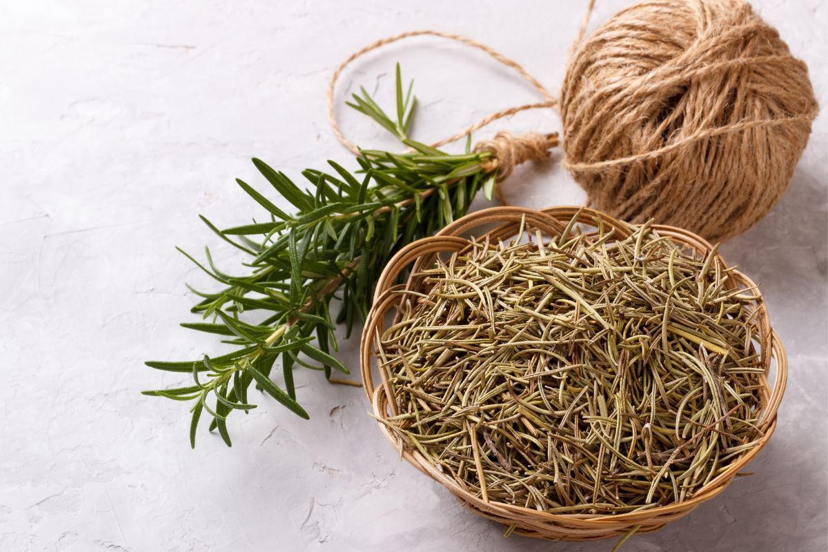 Dehydrating Methods How To Dry Rosemary
