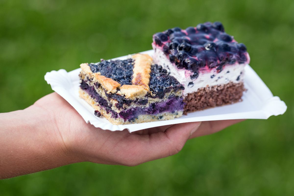 How To Use Dried Blueberries When Baking