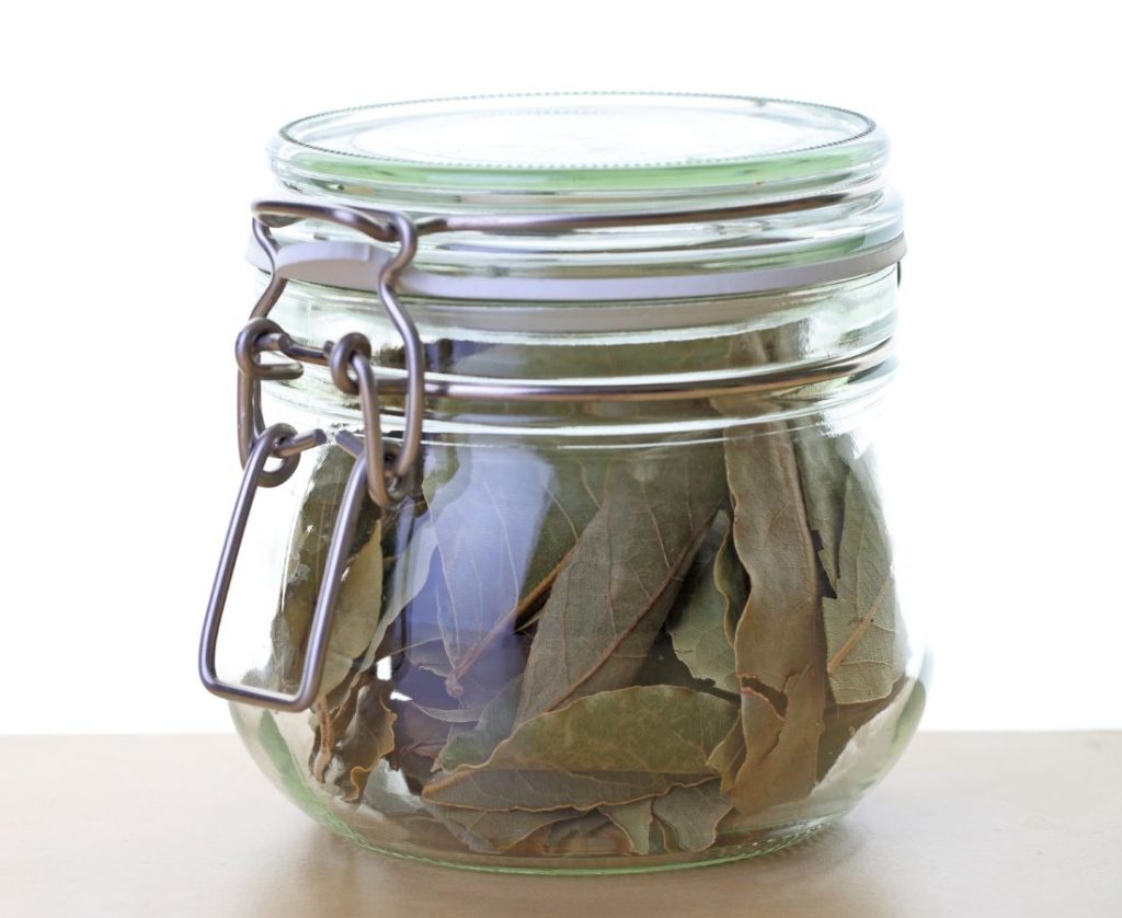 Airtight glass jar of dried bay leaves