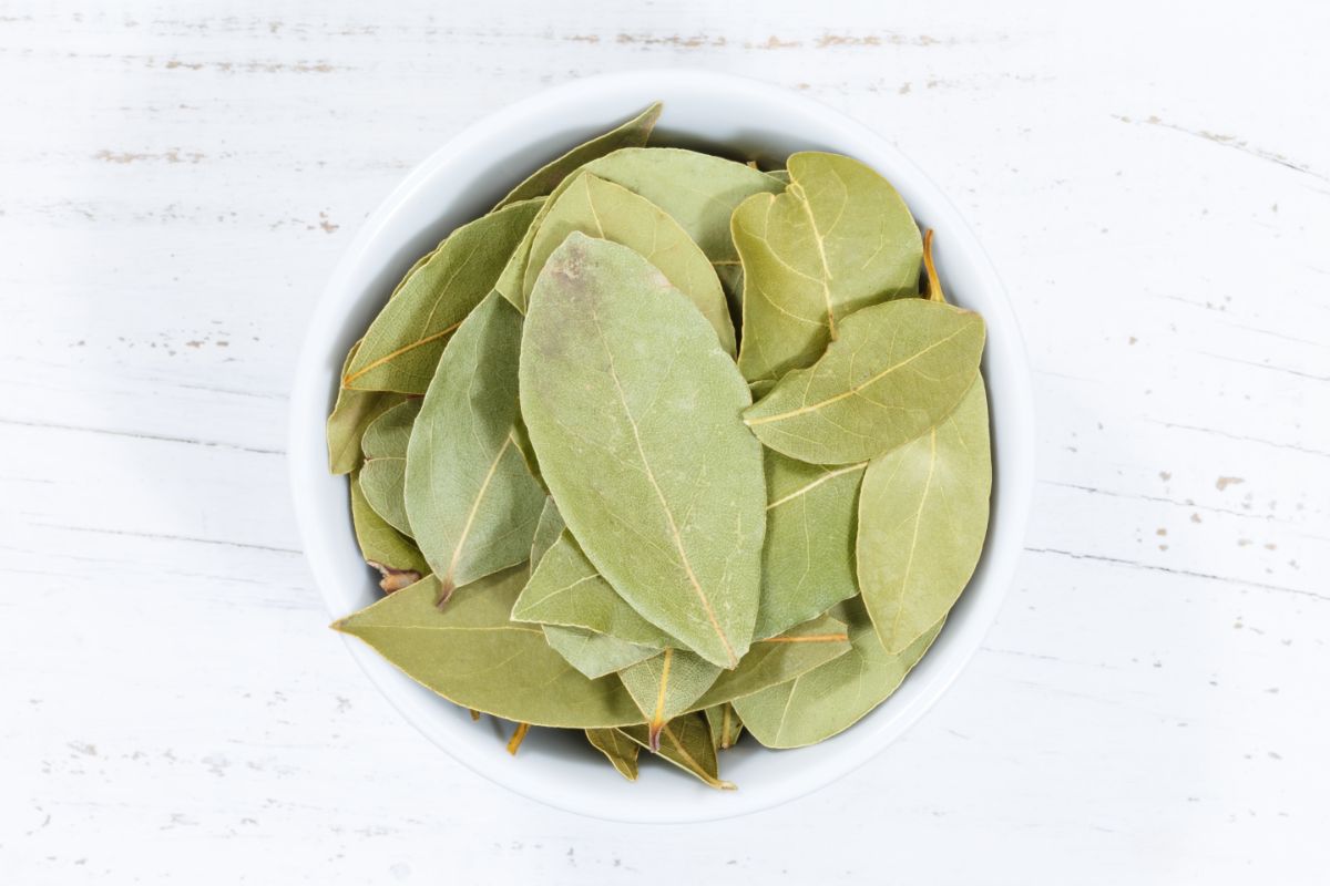 Bay leaves in a bowl