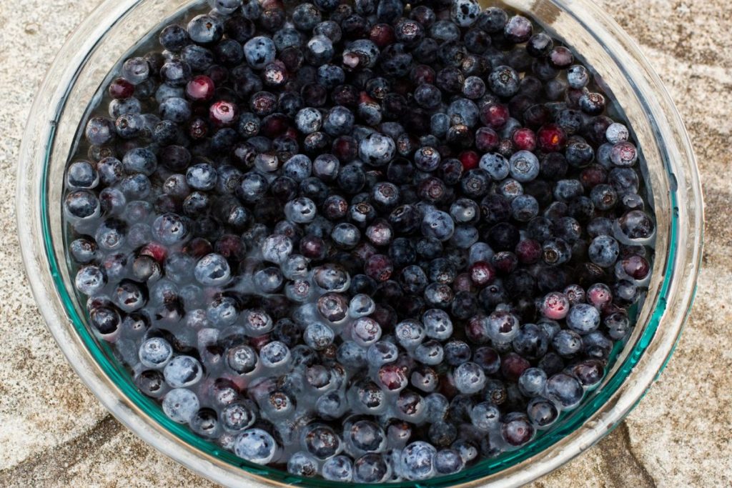 Blueberries in water inside a large bowl outside