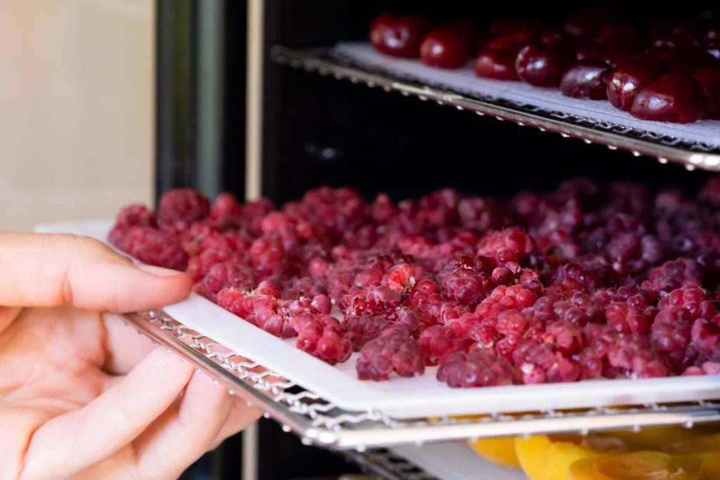 Woman pushing a tray of fresh raspberries into a food dehydrator
