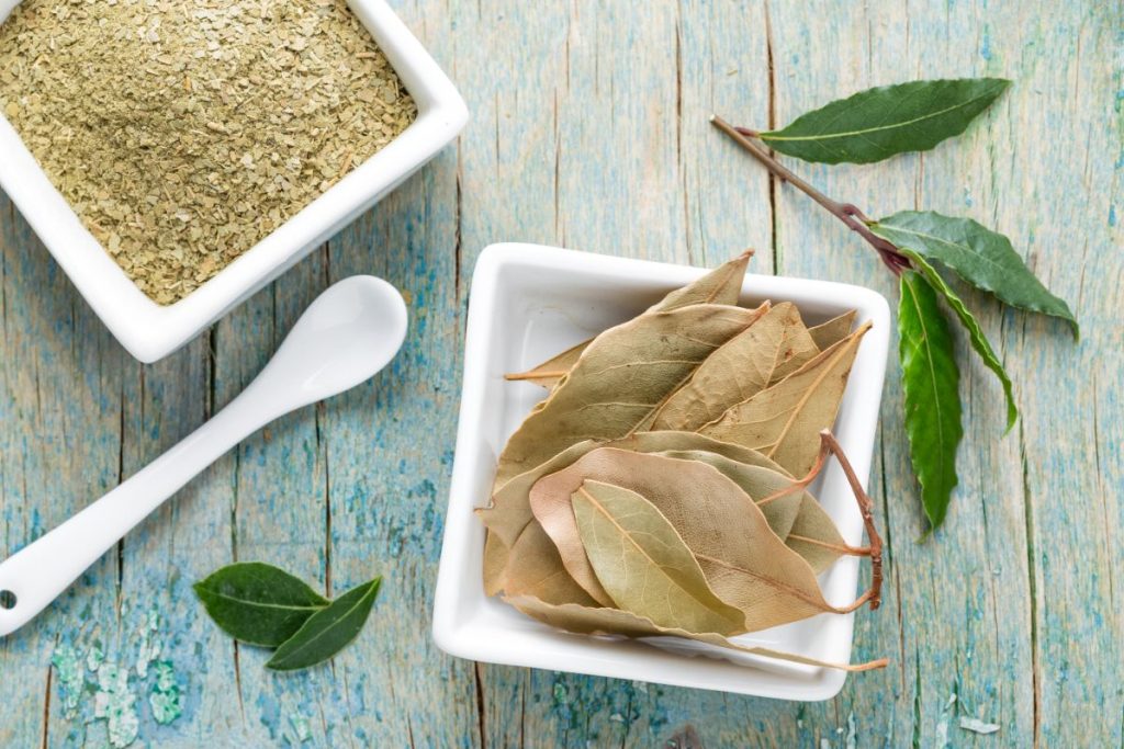 Fresh, powdered, and dried bay leaves