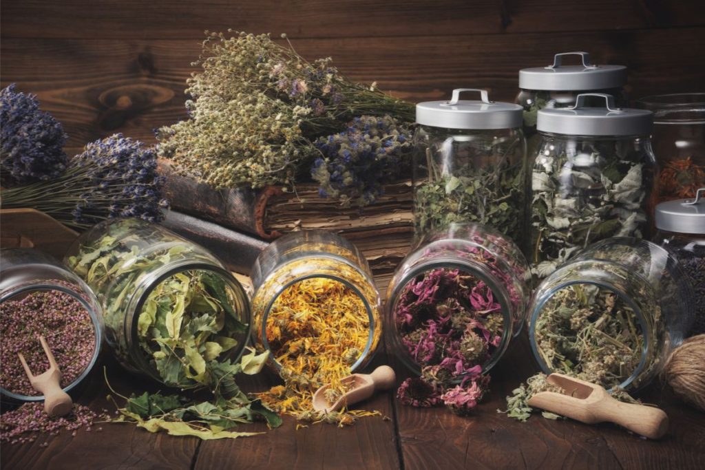 Several types of herbs in glass jars that are tilted over to show the contents